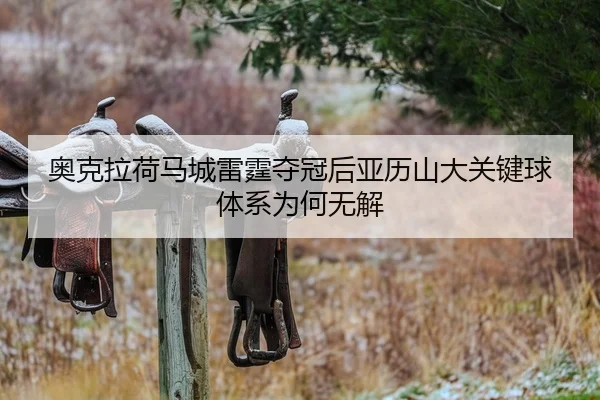 ao-ke-la-he-ma-cheng-lei-ting-duo-guan-hou-ya-li-shan-da-guan-jian-qiu-ti-xi-wei-he-wu-jie-2-596.jpg