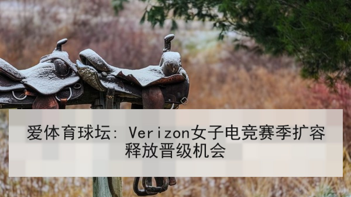 爱体育球坛: Verizon女子电竞赛季扩容释放晋级机会
