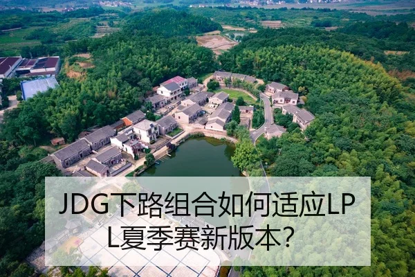 JDG下路组合如何适应LPL夏季赛新版本？