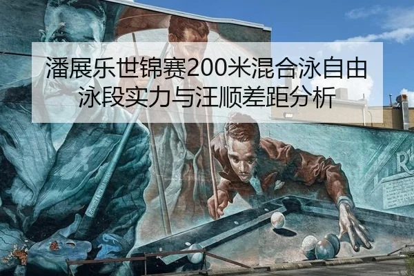 pan-zhan-le-shi-jin-sai-mi-hun-he-yong-zi-you-yong-duan-shi-li-yu-wang-shun-cha-ju-fen-xi-2-477.jpg