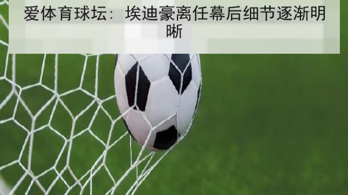 爱体育球坛: 埃迪豪离任幕后细节逐渐明晰
